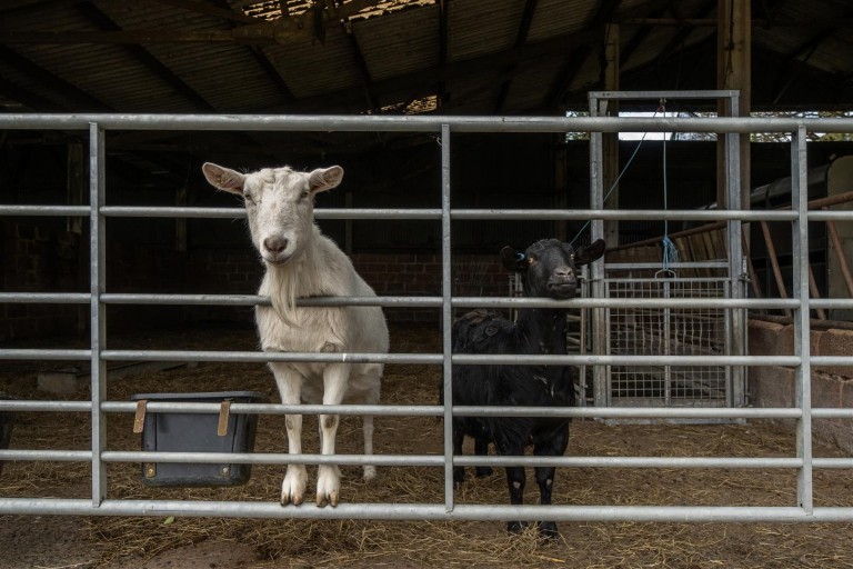 Images for Whitestone, Exeter