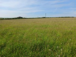 Images for East Taphouse, Liskeard