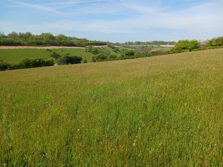 Images for East Taphouse, Liskeard