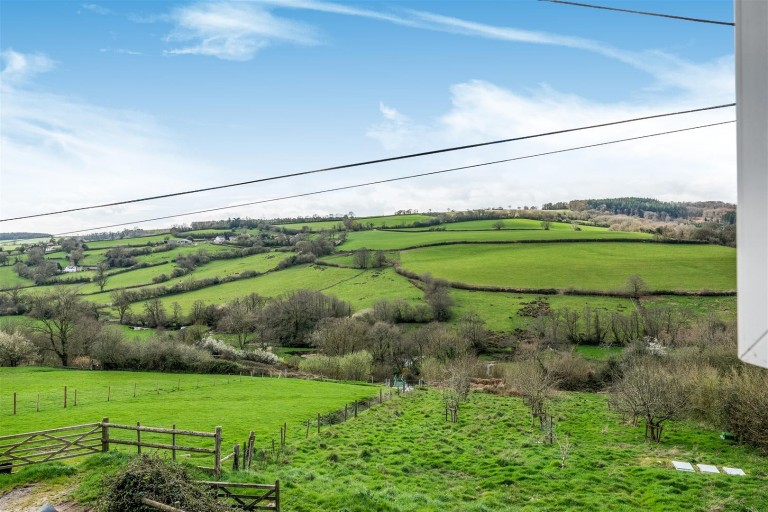 Images for Shute, Axminster