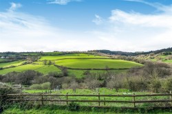 Images for Shute, Axminster