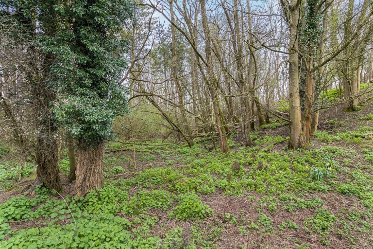 Images for Wicken Bonhunt, Saffron Walden