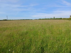 Images for East Taphouse, Liskeard