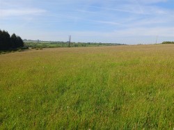 Images for East Taphouse, Liskeard