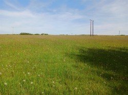 Images for East Taphouse, Liskeard