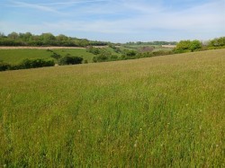 Images for East Taphouse, Liskeard