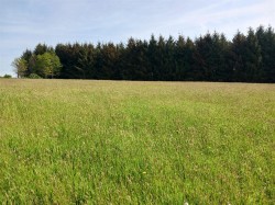 Images for East Taphouse, Liskeard