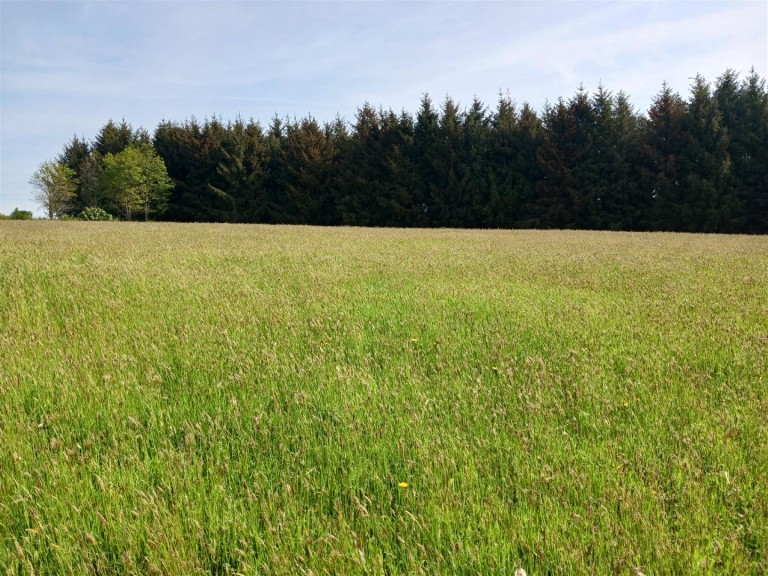 Images for East Taphouse, Liskeard