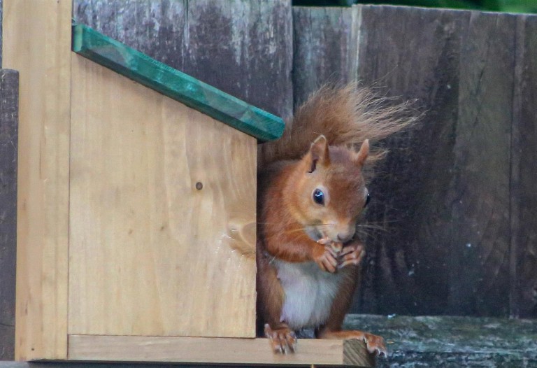Images for Bembridge, Isle Of Wight
