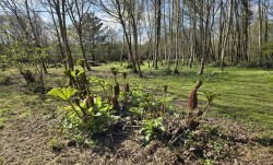 Images for Coldridge, Crediton