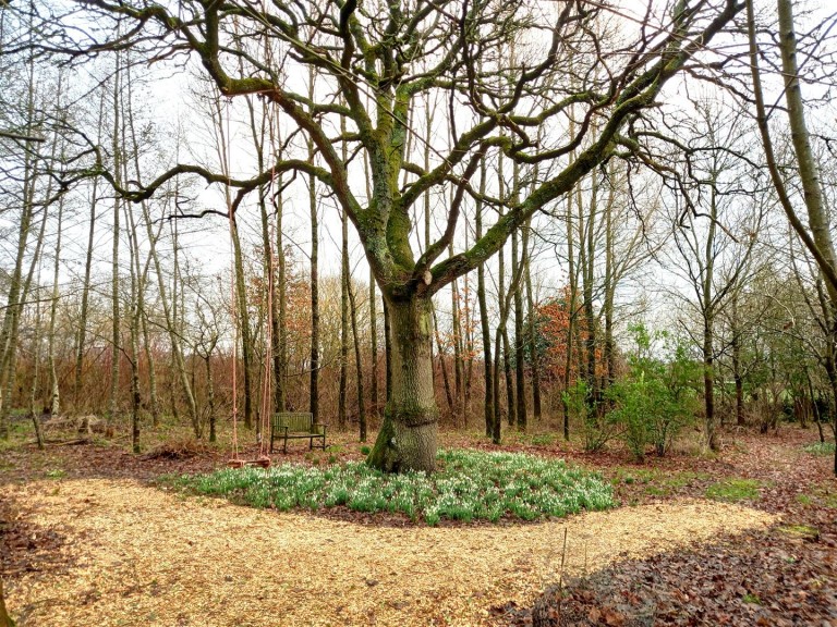 Images for Coldridge, Crediton