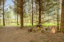 Images for Coldridge, Crediton