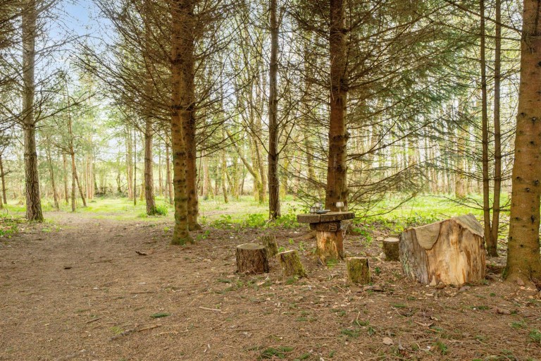 Images for Coldridge, Crediton