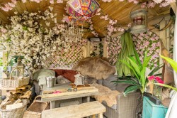 Images for Kings Heanton, Barnstaple