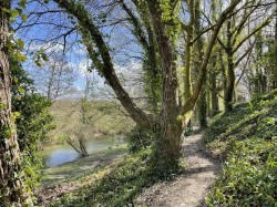 Images for Dorchester, Dorset