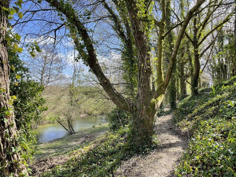 Images for Dorchester, Dorset