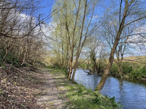 Click the photo for more details of Dorchester, Dorset