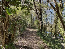 Images for Dorchester, Dorset