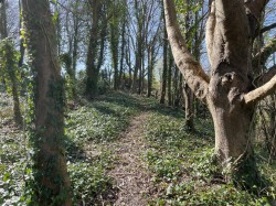 Images for Dorchester, Dorset