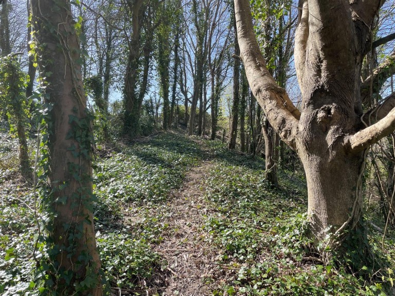 Images for Dorchester, Dorset