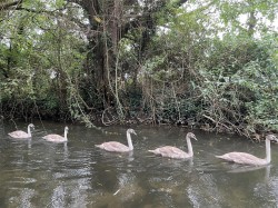 Images for Dorchester, Dorset