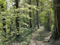 Images for Dorchester, Dorset