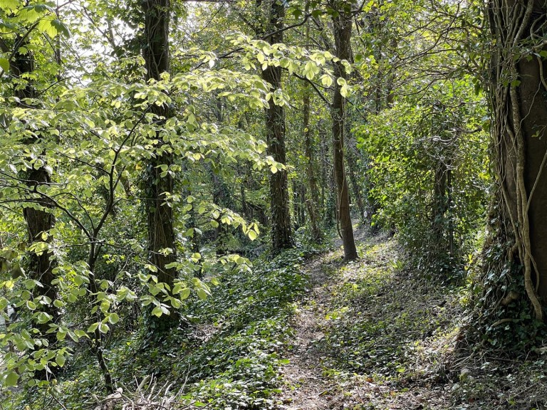 Images for Dorchester, Dorset