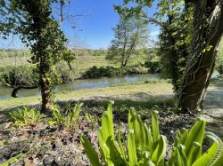 Images for Dorchester, Dorset