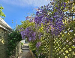 Images for Gammaton, Bideford