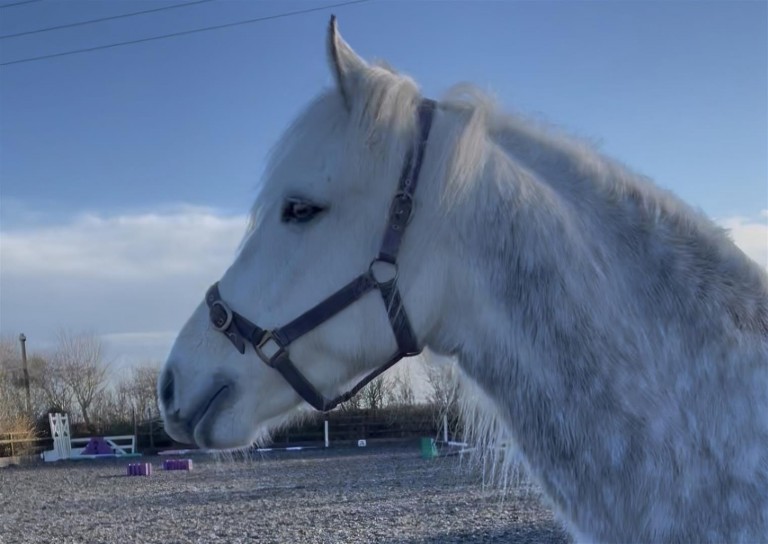 Images for Gammaton, Bideford