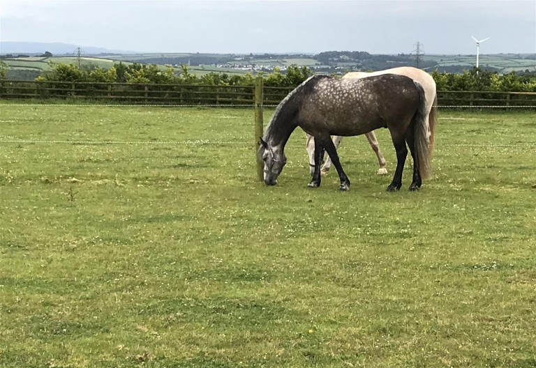 Images for Gammaton, Bideford