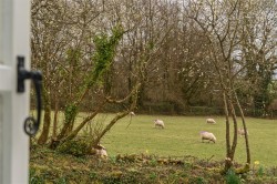 Images for Altarnun, Launceston