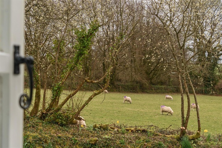 Images for Altarnun, Launceston