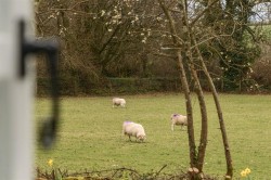 Images for Altarnun, Launceston