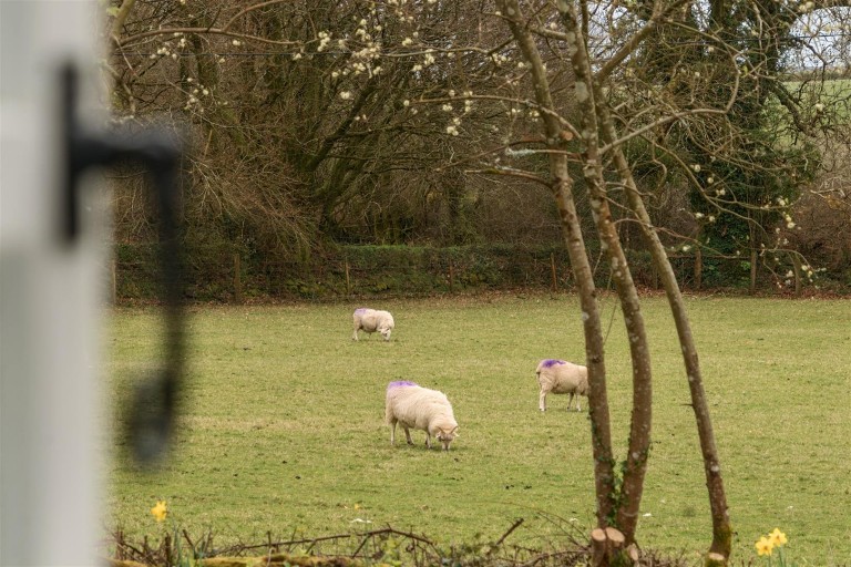 Images for Altarnun, Launceston