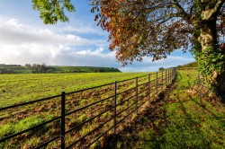 Images for Melcombe Bingham, Dorchester