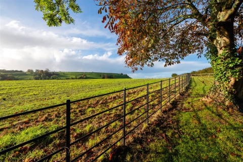 Click the photo for more details of Melcombe Bingham, Dorchester