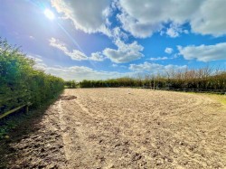 Images for Brighstone, Isle of Wight