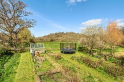 Images for Shute, Axminster