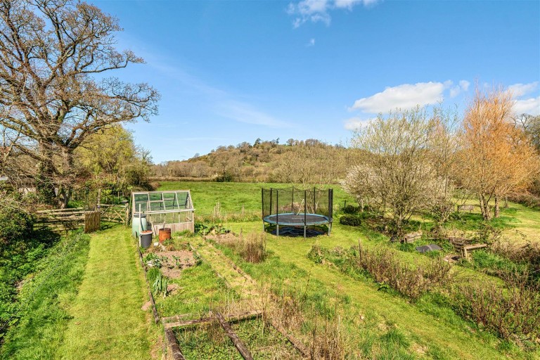 Images for Shute, Axminster