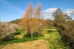 Images for Shute, Axminster