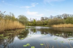 Images for Milton Damerel, Holsworthy