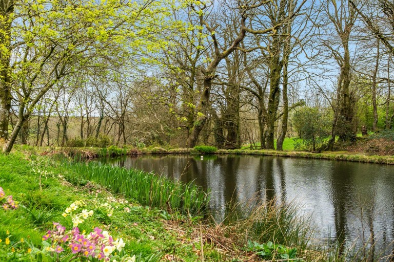 Images for Milton Damerel, Holsworthy