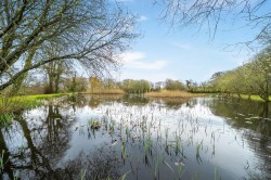 Images for Milton Damerel, Holsworthy