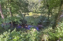 Images for Waterrow, Taunton