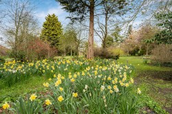 Images for High Street, Longstanton, Cambridge