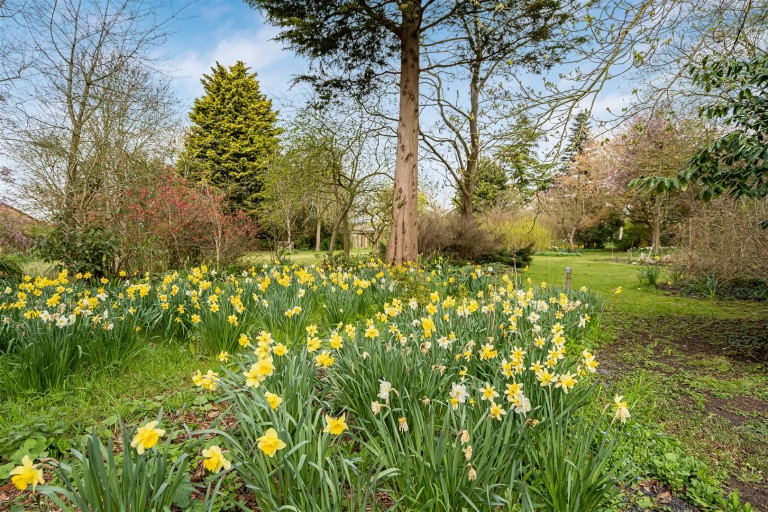 Images for High Street, Longstanton, Cambridge