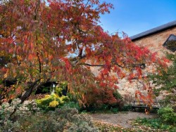 Images for High Street, Longstanton, Cambridge