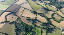 Images for Woolminstone, Crewkerne