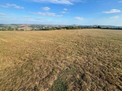 Images for Woolminstone, Crewkerne